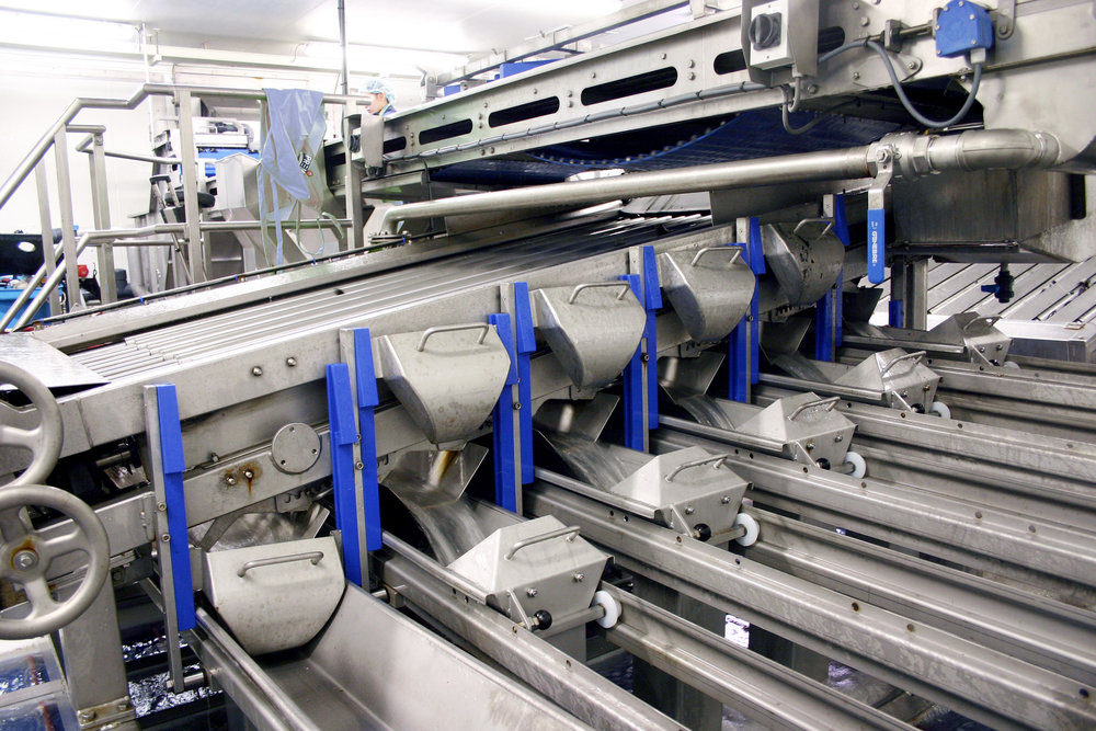 Resilient, seawater-resistant drive systems for seafood factory conveyors